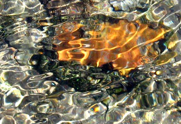 Gold under Water I