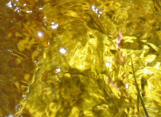 Gold under Water II