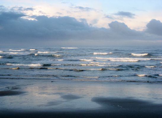 Yachats Beach View