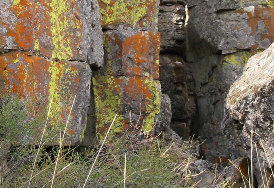 Lichen Cliffs 2, central Oregon