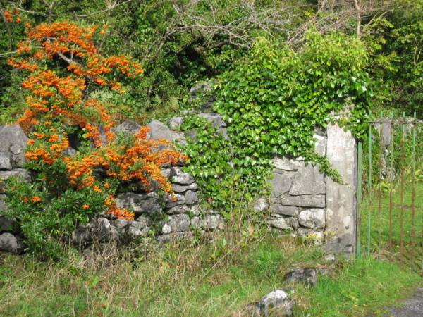 A Burren Gate, Ireland 